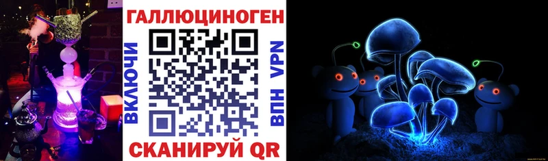 купить   Спасск-Рязанский  Псилоцибиновые грибы ЛСД 